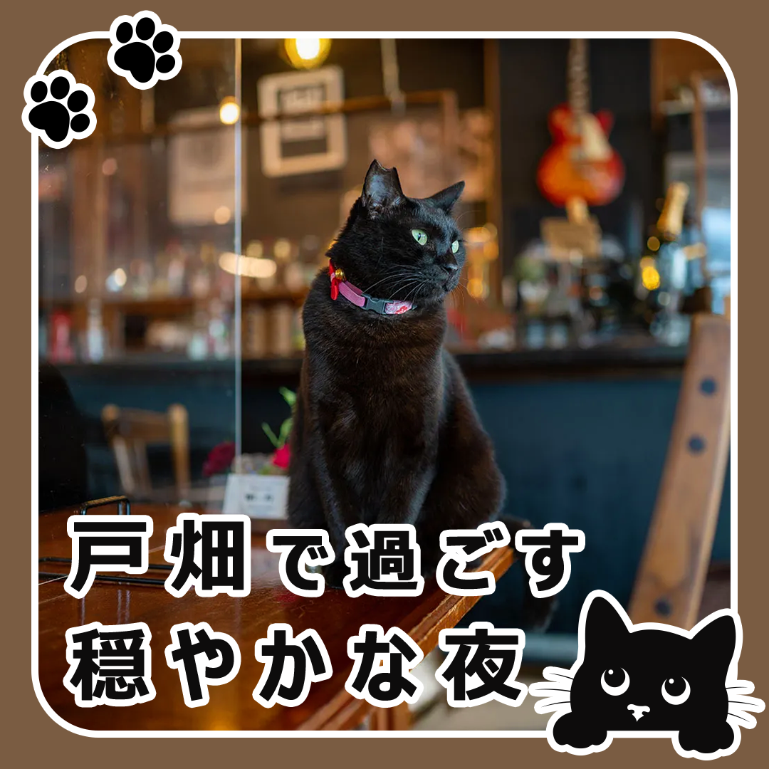 popup_banner