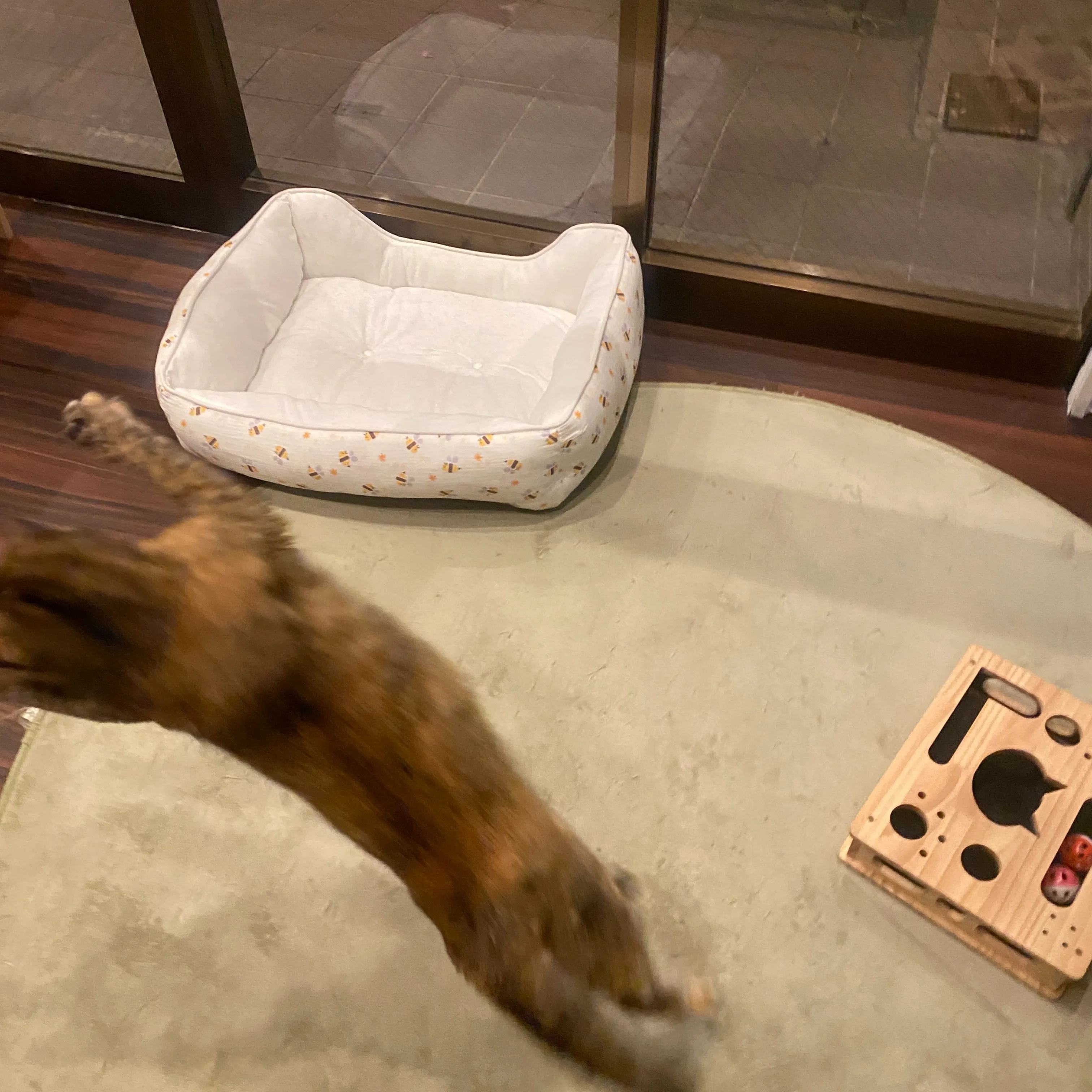 戸畑で2軒目を探している方へ。