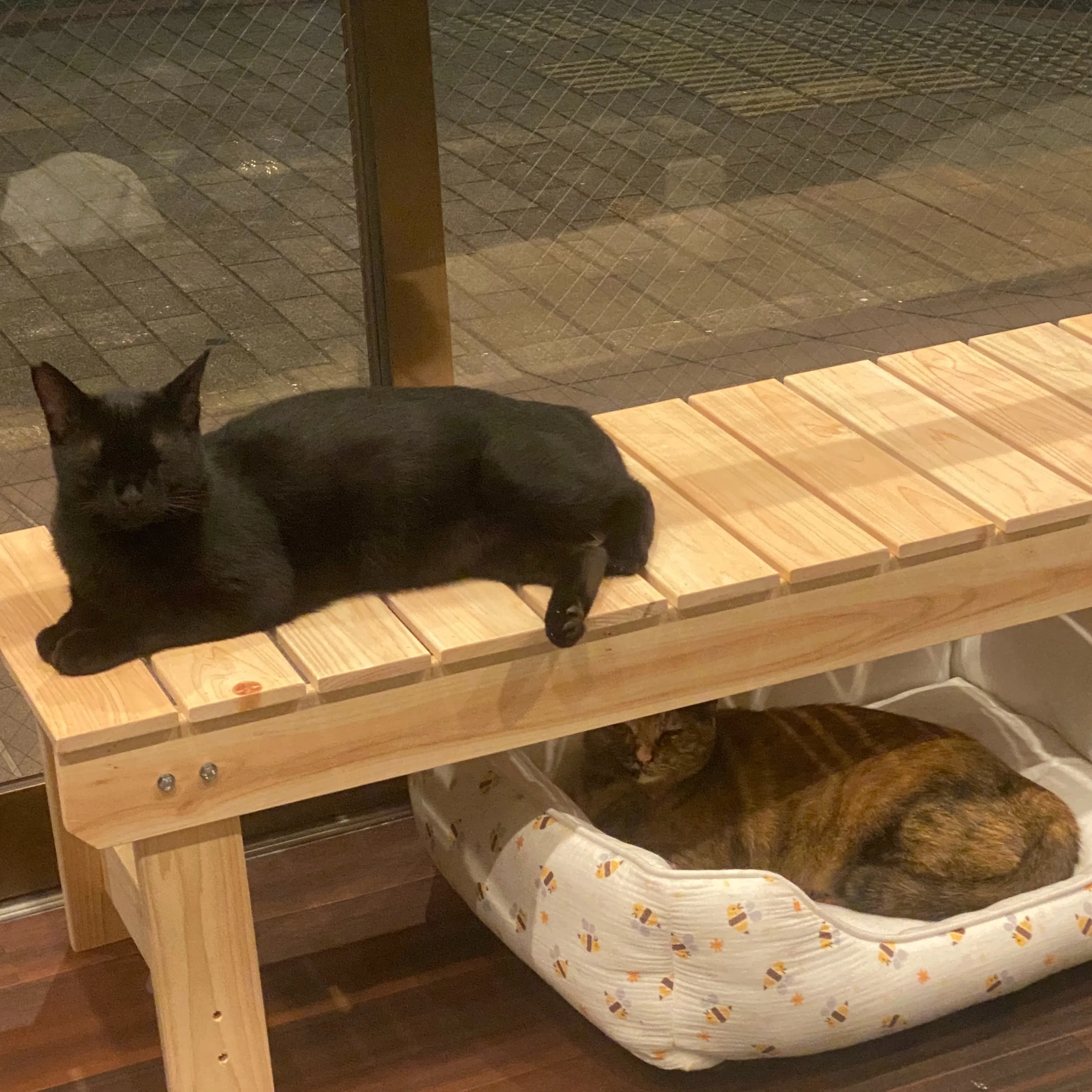 戸畑でBARを探している方へ｜初めてでも入りやすいBARの選...