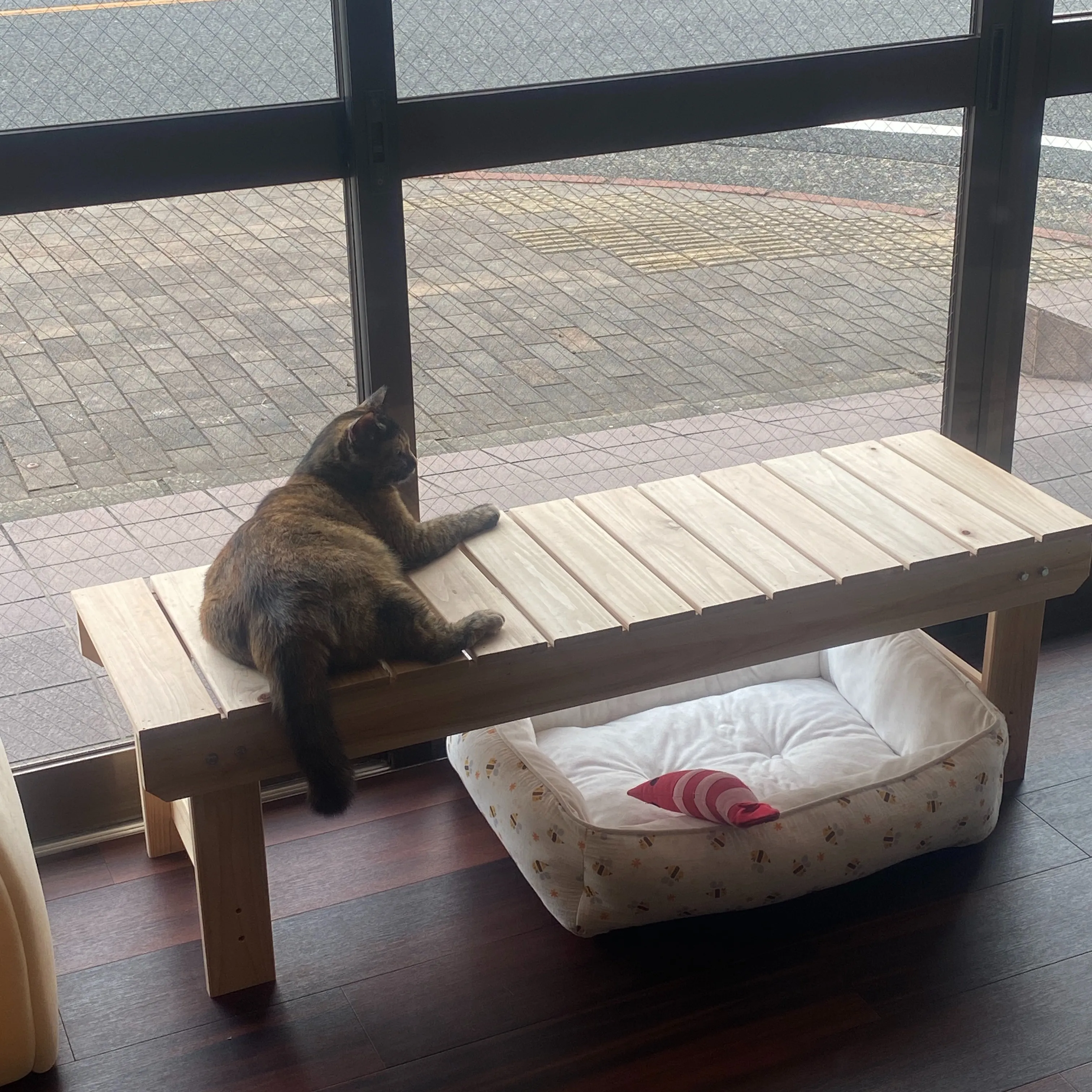 戸畑で女性一人でも入りやすいBARとは？