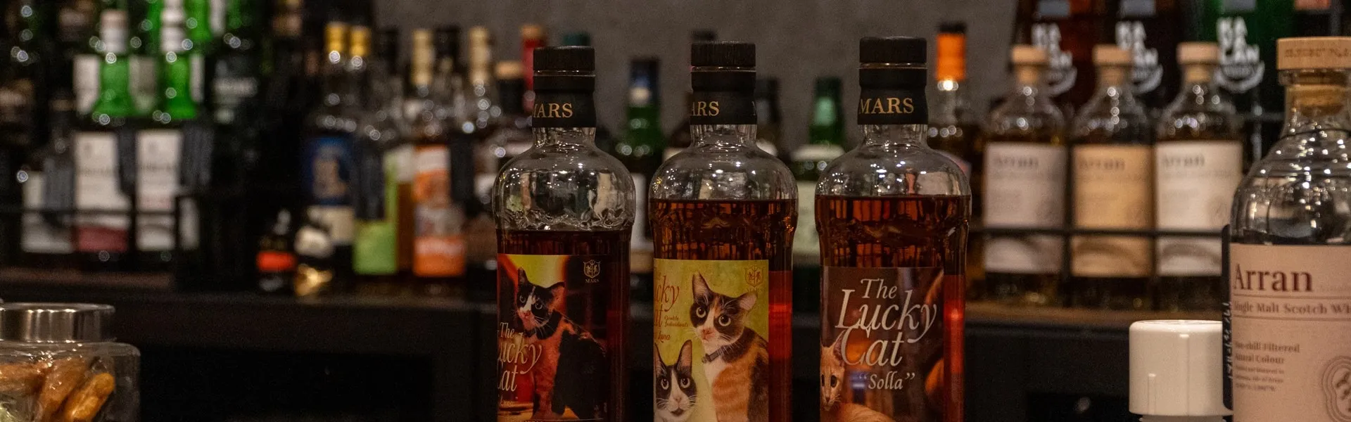 初めてのウイスキー、戸畑で。一人飲みにやさしいまたたび酒場ルポ