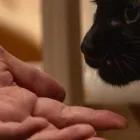 コンセプト