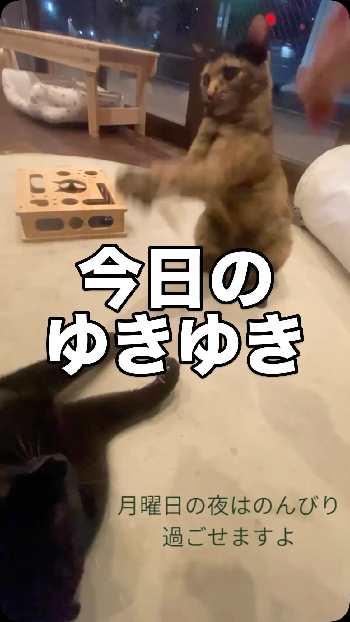戸畑・北九州でBARをお探しなら、平日の仕事始めの一杯にも、...