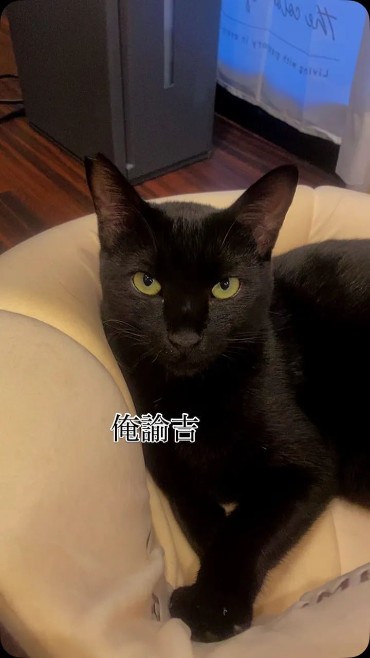 諭吉です。