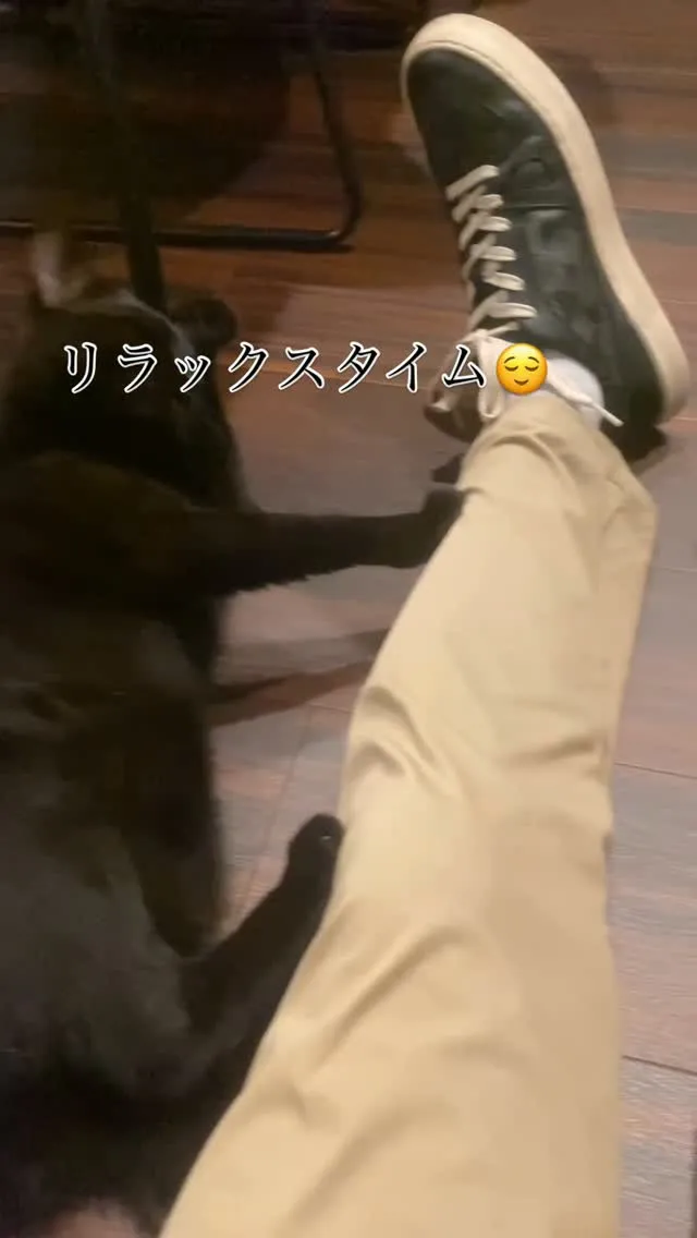 リラックスタイム😌