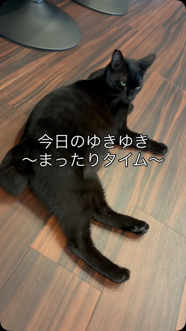 【今日のゆきゆき】